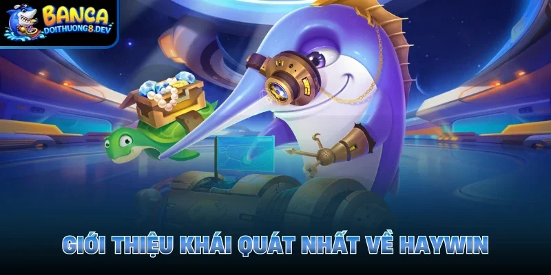 Giới thiệu khái quát nhất về Haywin 